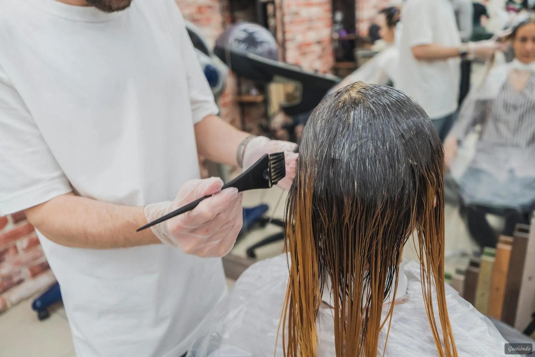 Tratamientos capilares salones belleza RD | Gestióndo