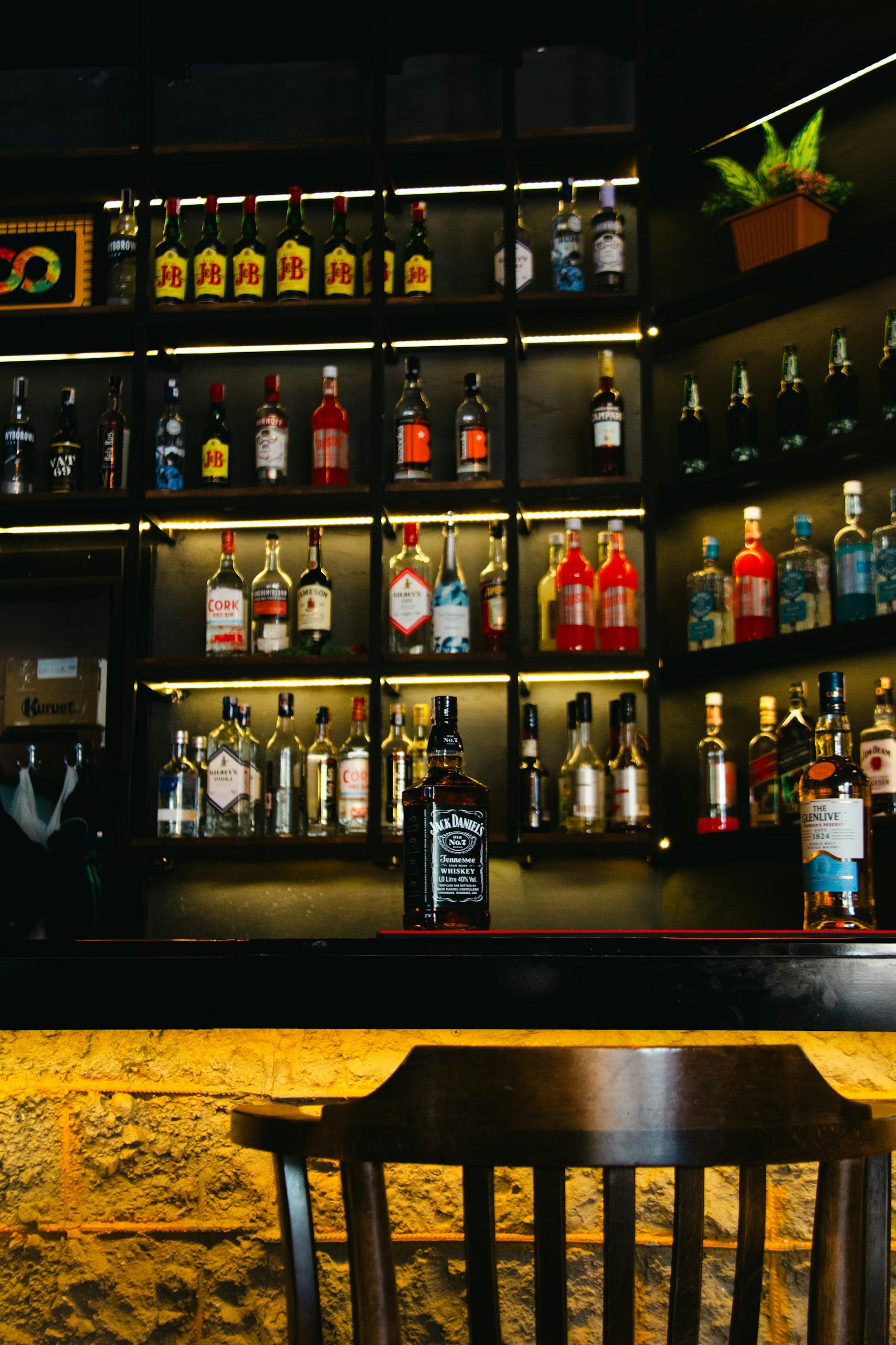 Conteo de Licor: Guía Completa para Bares en República Dominicana